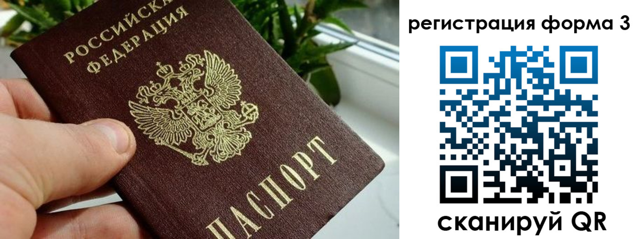 прописка штамп в Шуе